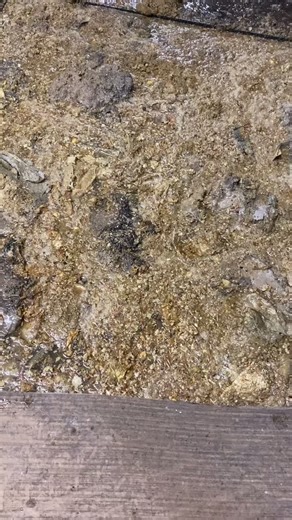 pump station down 💩😫 #goflowdrainage￼specialistltd #24hour #london #southeast #kent #￼nationwide￼ #sewermen #blockeddrains #drainage #pumpstation