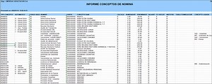 Informe conceptos de nómina - Nómina pyme - Portal de Clientes Siigo Software Contable y Administrativo
