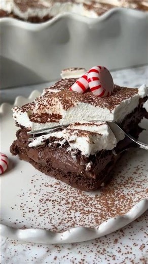 Chocolate Peppermint Pudding Cake!