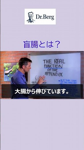 盲腸とは？ #shorts #盲腸 #盲腸炎 #ひざの痛み #ドクター・バーグ