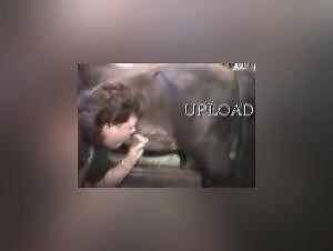 MAD-16: Animal Sex Glory Quest - Extreme