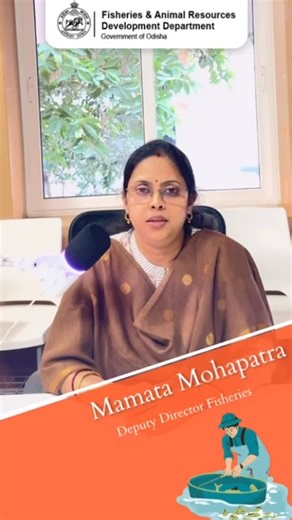 Fisheries & ARD Department on Instagram: "🎧 Fish Farming in Winter – Expert Guidance Tune in to the podcast as the Deputy Director Fisheries explains key do’s and don’ts for pond management and fish health during the winter season."