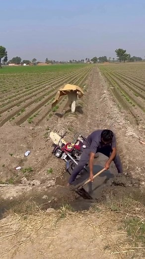 9K views · 22 reactions | Full funny  #aliens | Funny video | Facebook