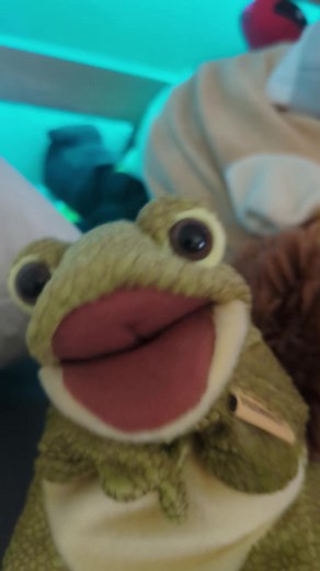 #frogpuppet #puppets #puppet #funny