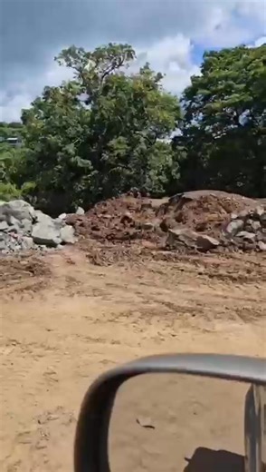 🚧 New construction in Playa Ocotal Playa Ocotal is already one of the most dangerous areas for howler monkeys, with frequent electrocutions and deaths caused by chaotic cable systems and a lack of canopy connectivity. Now, with new construction underway, the risks are even higher. Last week we spoke directly with the construction company about the urgent need to insulate all cables near the cellphone tower, which is one of the most dangerous hotspots for electrocutions in the area. Taking actio