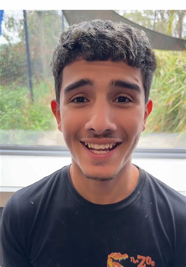 Discover Australian Animals: Wombats and Possums Delight