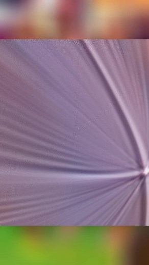 QUIVER LOUNGE KILIMANI on TikTok