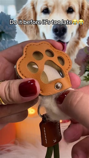 Heartfelt Pet Memorial Ideas for Loving Dog Parents