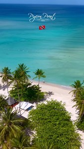 No words needed! Good morning ☀️ 🏝️ 🇹🇹 📍 Pigeon Point Heritage Park, Tobago | Pigeon Point Heritage Park