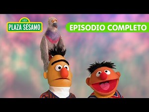 Plaza Sésamo: ¡Aprendemos con Beto y Enrique la palabra del día: CÍRCULO! | Episodio Completo