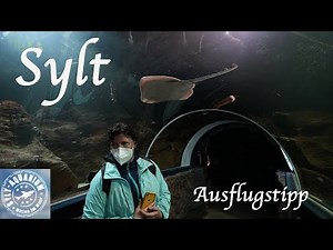 Sylt 2021 - Ausflugtipp: Aquarium in Westerland
