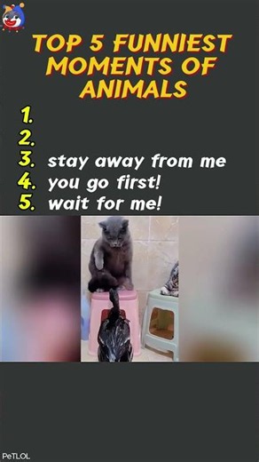 Top 5 Funniest Animal Videos 2026😂🐶| Part 14 #funnyanimals #cutepets #pets #shorts #virals #funny