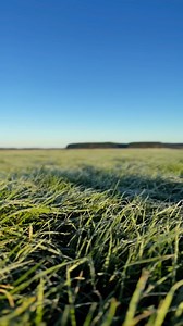 Cold Morning 🥶🥶🥶 | Kenneth Clark Leyson Bayaco