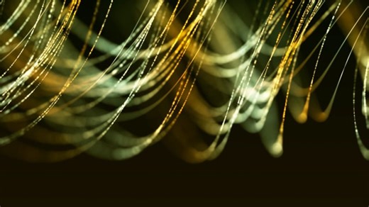 蜘蛛网 蛛网 网络 - Free video on Pixabay