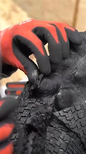 Watch me create a GIANT alligator! 🐊 #sculpture #artwork #handcrafted #alligator #DIYproject #stainlesssteel #creativeprocess #PGA #recycledart #craftsmanship | BM Sculptures