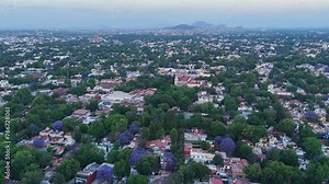 Jacaranda tree among red-roofed buildings in Coyoacan, Mexico City, Drone view