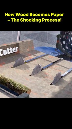 How Wood Becomes Paper: The Shocking Process Explained