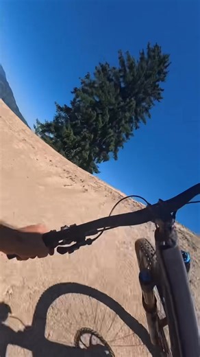 30K views · 379 reactions | Traseu nou de flow la Bran, accesibil pentru toată lumea. | FreeriderPunctRo | Facebook