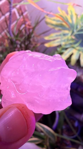 The dragon turtle is a mythical creature from Chinese culture that combines the dragon’s power with the turtle’s longevity, symbolizing a balance of celestial grace and earthly resilience. It represents courage, determination, fertility, longevity, power, and success. In Feng Shui, it is considered a powerful mascot for protection, wealth, and improving luck, and is often placed in homes or businesses to ward off evil spirits and attract good fortune. New pink girasol rose Quartz gemmy Turtle Dr