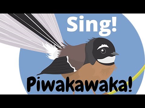The Fantail Song (Pīwakawaka!) Lyric Video!