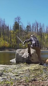 Just some peaceful fishing! | Firebox Stove