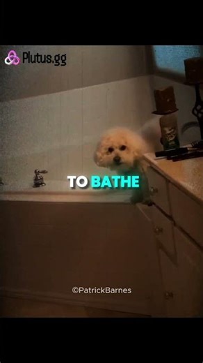 Rest in peace Quincy 😭💔 #shorts