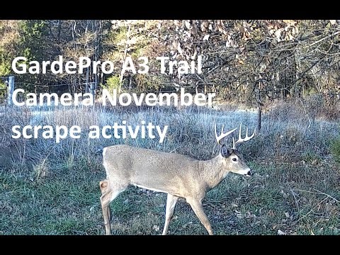 GardePro Trail Camera A3 Scrape Activity November