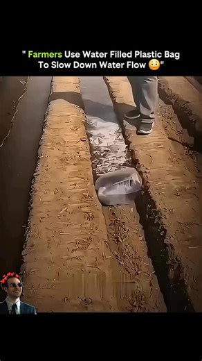 Growth Era on Instagram: "A simple plastic bag turns rushing water into a controlled, life saving irrigation system Across farms and fields, a surprisingly low tech solution is used to solve a very real engineering problem: controlling fast flowing water. Farmers fill plastic bags with water and place them strategically in channels or pipes to slow the flow without blocking it completely. At first glance it looks improvised, but the idea is grounded in fluid dynamics. The weight of the water fil