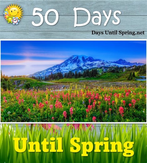 The Countdown to Spring 💛🌈🌷 🌈 👉 https://daysuntilspring.net 👈 🌸 . #Spring #Spring2025 #SpringCountdown #countdown #sunandfun #CountdowntoSpring | Spring Countdown