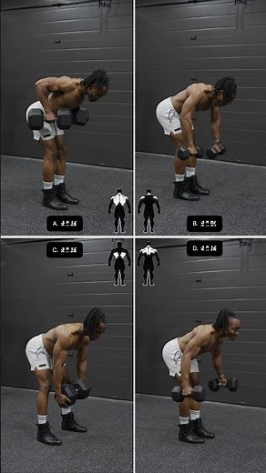 dumbbell only back day workout