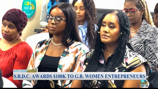 2K views · 23 reactions | The Small Business Development Center awarded one hundred thousand dollars in grant funding to fourteen women entrepreneurs in Grand Bahama. At a ceremony attended by the Minister for Grand Bahama and SBDC's Executive Director, the grant recipients were celebrated for their dedication and resilience in driving business growth on the island. More details in this report. | ZNS Northern Service | Facebook