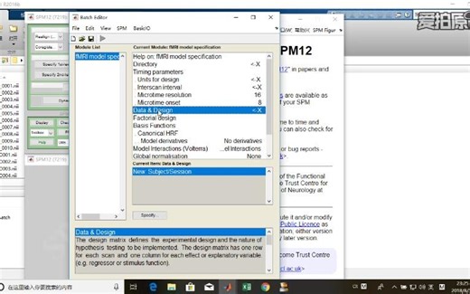 spm12 核磁数据处理分析进阶处理