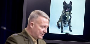 Alpha dogs in the Trump era