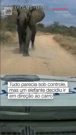 Elefante em fúria avança contra caminhão-tanque na África do Sul; assista #Shorts