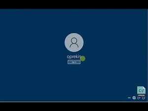 Windows 10 Lite Multilingual (25 languages)