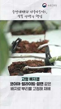 [농촌진흥청 - 농사로] 농업기술, 스마트 팜 시설 및 작목 선택방법 👈
