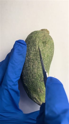 Habilidades Quirúrgicas: Suturas para Estudiantes de Medicina