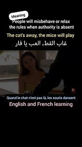 5.3K views · 135 reactions | When the cat is away the mice will play.... | English and French Learning | Facebook