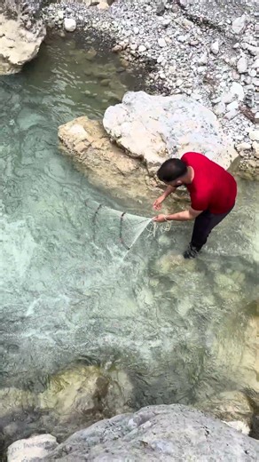 Best net casting vedio #fishing #netfishing