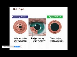 Unit 4 Overview Part 2 remainder of Chapter 14 and 15