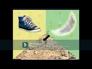 Elmo's World Quiz Bugs High Pitch #elmosworld (Click Links In Description)