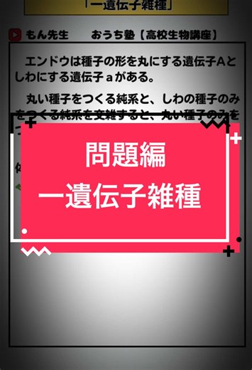 初心者向け‼️ メンデル遺伝の基本のき🫛 #生物 #高校生 #中学生 #理科 #遺伝 #dna #受験生 #勉強 #もん先生 #テスト