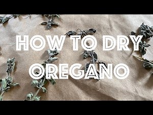 How to Dry Oregano - Herbology