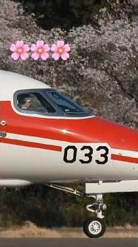 満開の桜🌸をバックに検査飛行🛩️お疲れさまでした!!入間へ帰投する飛行点検隊U-680A(ASMR)#百里基地 #入間基地 #shorts #short