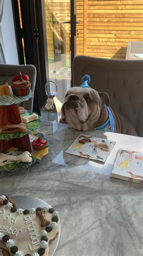 Chester's 3rd Birthday Tea Party Highlights