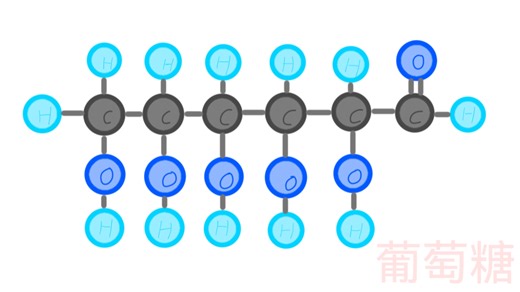 粒子球：氧的主要介绍、同位素、化合物和主要反应式：光合作用、氧气的燃烧反应和臭氧的形成与分解
