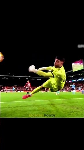 Unbelievable Goalkeeper Saves You Won’t Believe 😱 | Crazy Reflex Moments