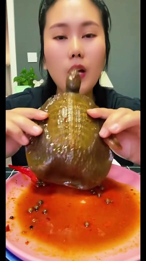 Yummy Turtle Boil Recipe - Kindness Wins!