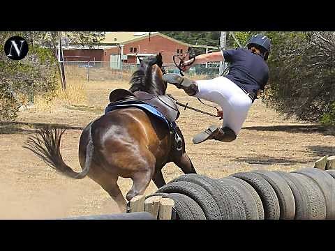 Most Epic Horse Fails & Falls of All Time !!