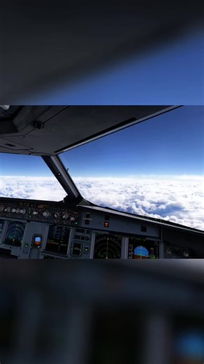 Fly Wings Aviation on Instagram: "EasyJet Flight - Inside & Out - See the Cockpit & Tail! #aviation #a320 #easyjet #msfs2024 #fullflight"